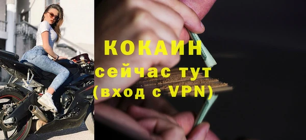 дживик Вязьма