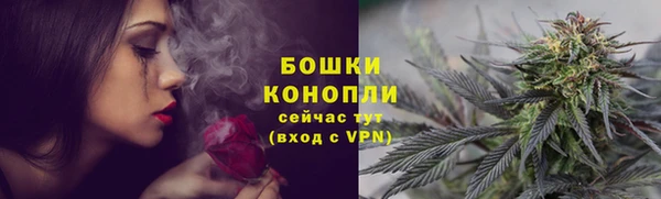 круглые Вяземский