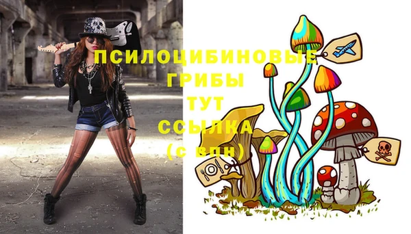 круглые Вяземский