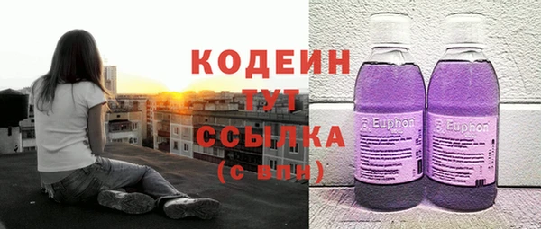 дживик Вязьма