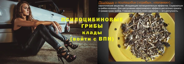 дживик Вязьма