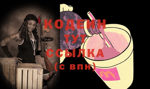 дживик Вязьма